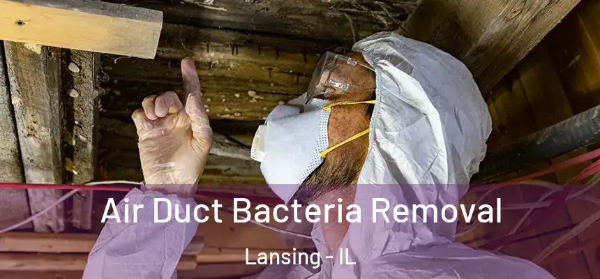 Air Duct Bacteria Removal Lansing - IL