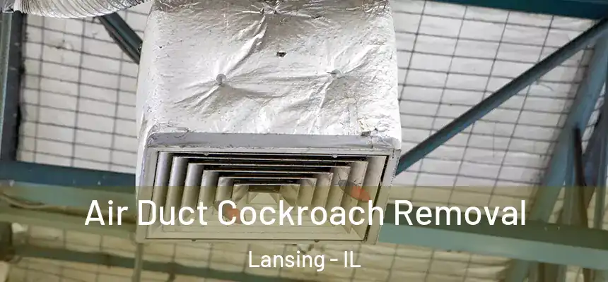  Air Duct Cockroach Removal Lansing - IL
