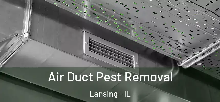  Air Duct Pest Removal Lansing - IL
