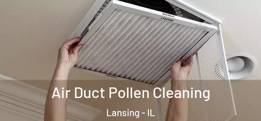 Air Duct Pollen Cleaning Lansing - IL