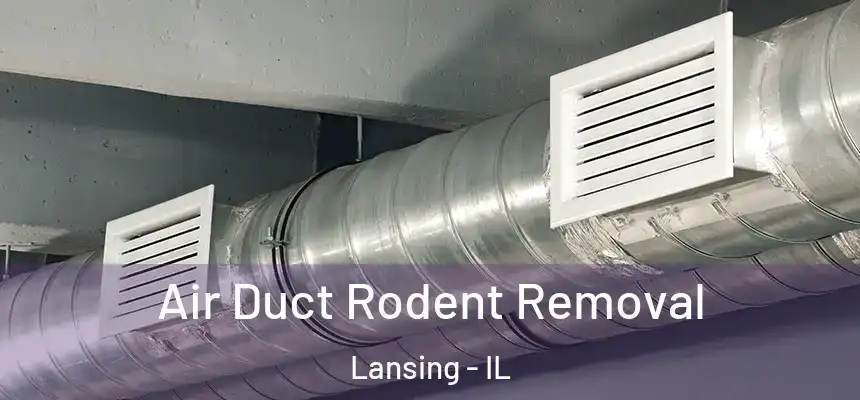  Air Duct Rodent Removal Lansing - IL