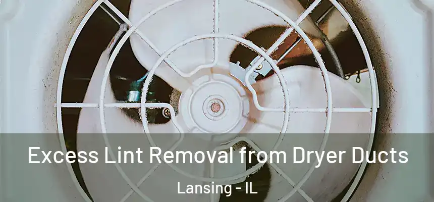  Excess Lint Removal from Dryer Ducts Lansing - IL