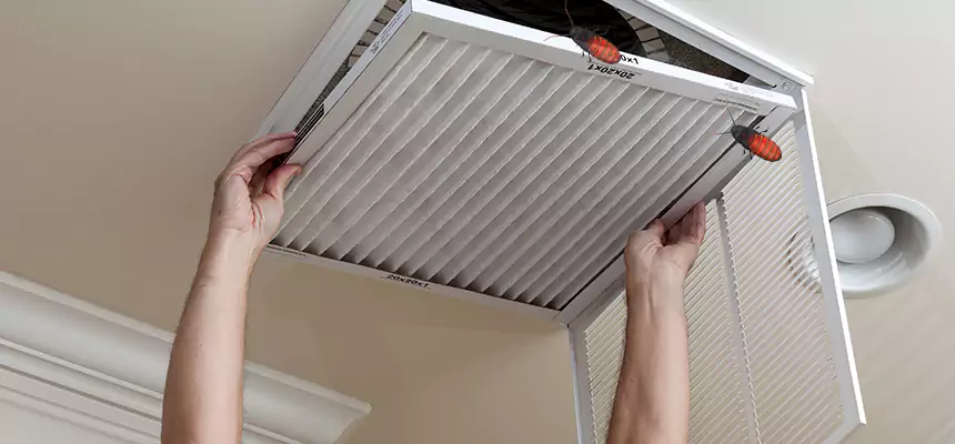 Preventive Cockroach-Proofing for Ducts in Lansing