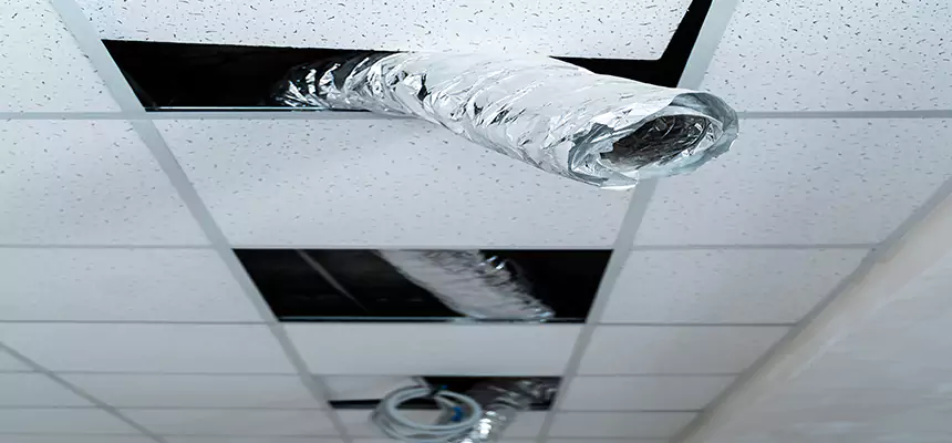 Our Air Duct Pet Hair Removal Services in Lansing, IL