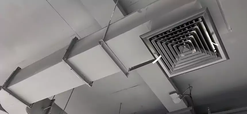 Restorative Allergy Relief Vent Cleaning – Coil, Blower & Housing Detail in Lansing