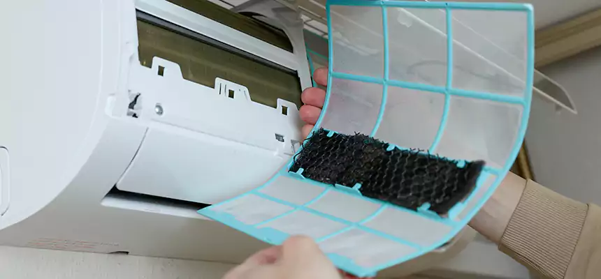 Gentle Ductwork Odor-Control Pet Dander Duct Cleaning in Lansing, IL