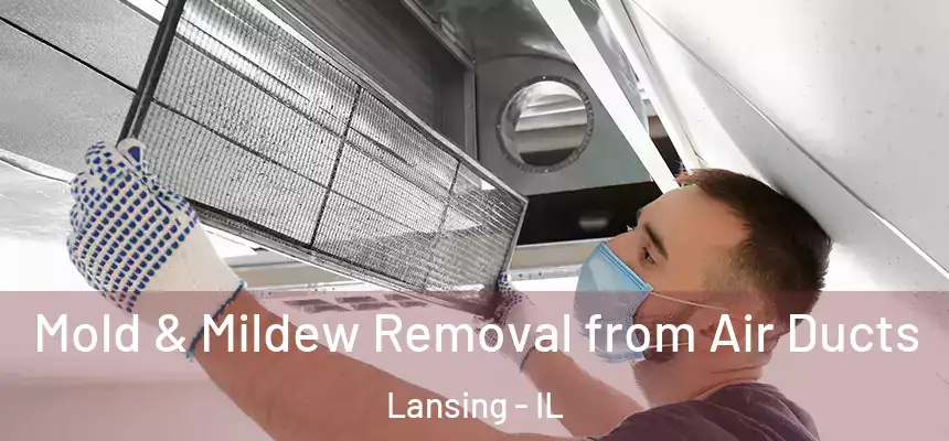 Mold & Mildew Removal from Air Ducts Lansing - IL