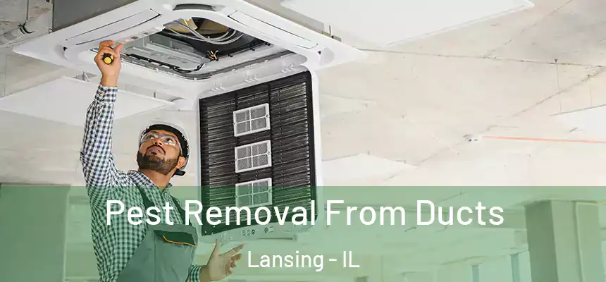 Pest Removal From Ducts Lansing - IL
