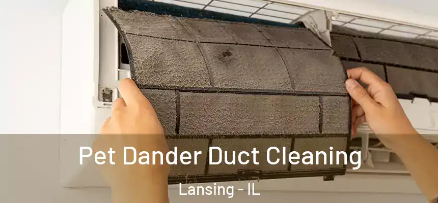  Pet Dander Duct Cleaning Lansing - IL