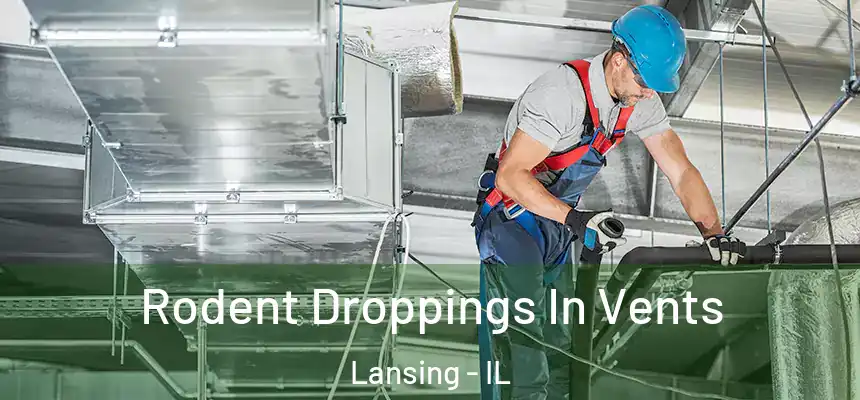 Rodent Droppings In Vents Lansing - IL