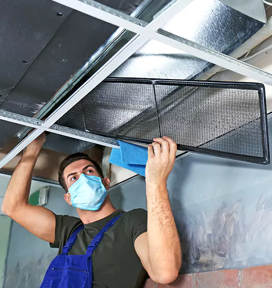 About Air Duct Bacteria Removal in Lansing