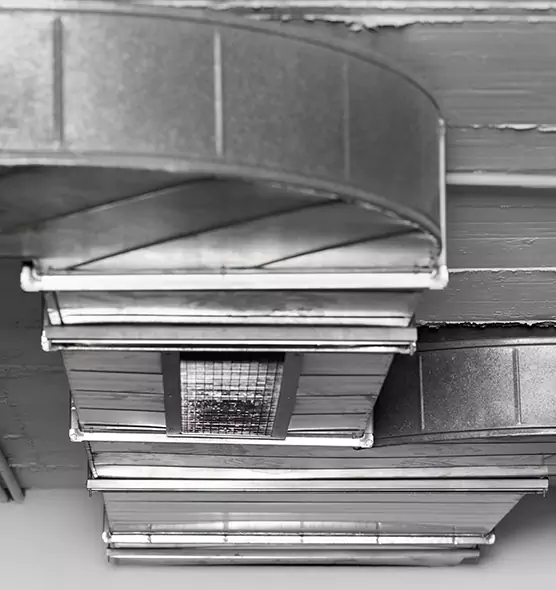 Professional Air Duct Pest Removal in Lansing, IL