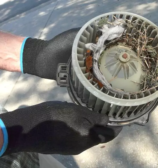 About Air Duct Rat Removal in Lansing, IL