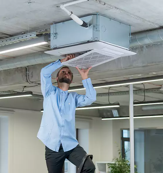 Advanced Rodent Droppings In Vents in Lansing, IL