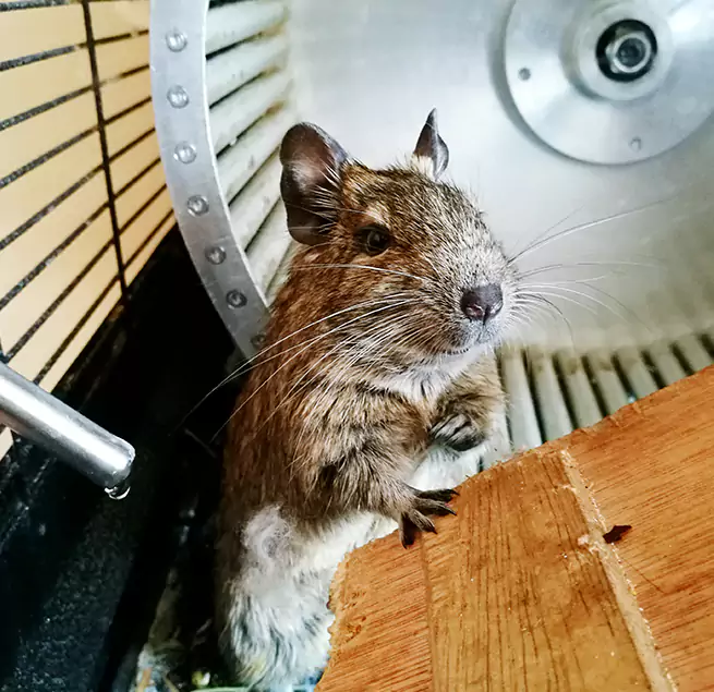 Why Homeowners & Businesses Trust Us Lansing, IL