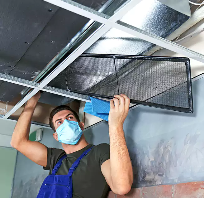 Why Homeowners Businesses Trust Us in Lansing, IL