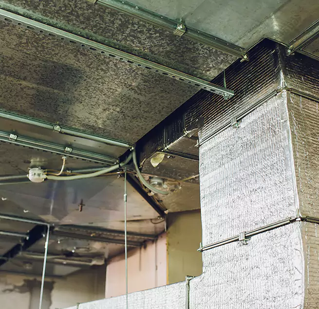 Why Homeowners & Businesses Trust Us in Lansing, IL?